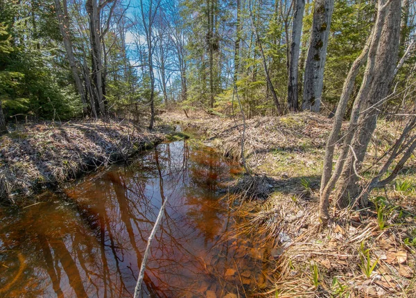 Doğanın güzel manzarası