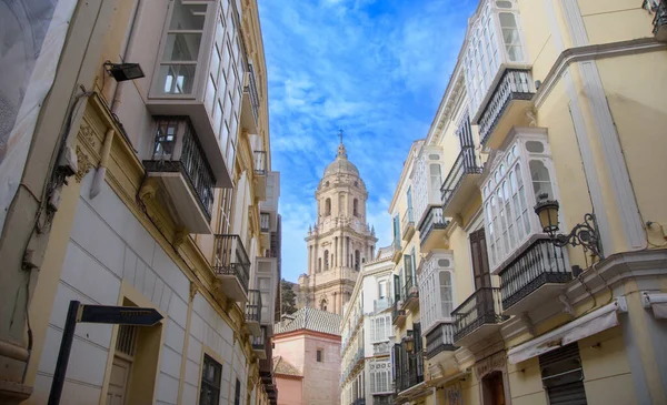 Architecture View Beautiful Cathedral Malaga Andalusia Spain — 스톡 사진