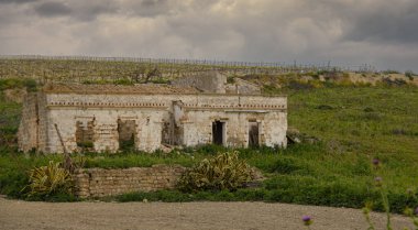 Fields of Jerez de la Frontera, Andalusia, Spain. 