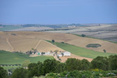 Fields of Jerez de la Frontera, Andalusia, Spain. 