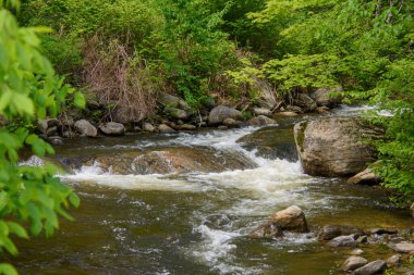 Yazın, Quebec eyaletindeki Kanada ormanlarında güzel bir nehir.