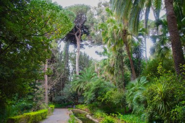 Malaga, Endülüs, İspanya 'nın güzel tarihi botanik bahçesi