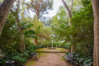 Malaga, Endülüs, İspanya 'nın güzel tarihi botanik bahçesi