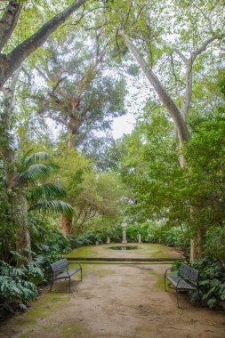 Malaga, Endülüs, İspanya 'nın güzel tarihi botanik bahçesi