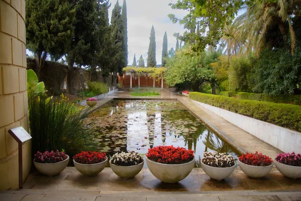 Gyönyörű Történelmi Botanikus Kert Koncepció Malaga Andalucia Spanyolország — Stock Fotó