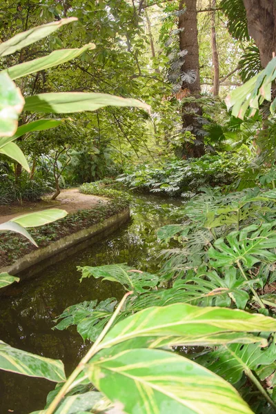Malaga Endülüs Spanya Nın Güzel Tarihi Botanik Bahçesi — Stok fotoğraf