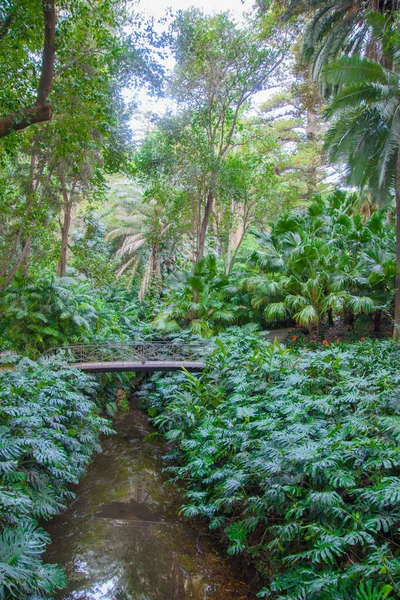 Όμορφο Ιστορικό Βοτανικό Κήπο Της Σύλληψης Της Μάλαγα Ανδαλουσία Ισπανία — Φωτογραφία Αρχείου