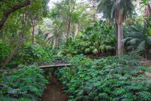 Piękny Historyczny Ogród Botaniczny Conception Malaga Andaluzja Hiszpania — Zdjęcie stockowe