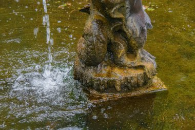 Malaga, Endülüs, İspanya 'nın güzel tarihi botanik bahçesi
