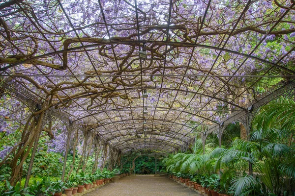 Malaga Endülüs Spanya Nın Güzel Tarihi Botanik Bahçesi — Stok fotoğraf