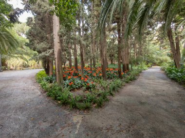 Malaga, Endülüs, İspanya 'nın güzel tarihi botanik bahçesi