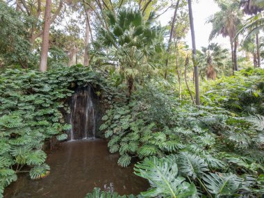 Malaga, Endülüs, İspanya 'nın güzel tarihi botanik bahçesi
