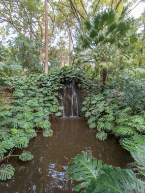 Malaga, Endülüs, İspanya 'nın güzel tarihi botanik bahçesi
