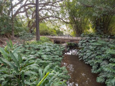 Malaga, Endülüs, İspanya 'nın güzel tarihi botanik bahçesi