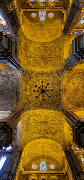 Veduta Architettonica Della Bellissima Cattedrale Malaga Andalusia Spagna — Foto Stock