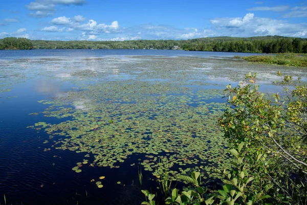 Bellissimo Paesaggio Con Fiume Lago Sullo Sfondo — Foto Stock