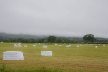 Saman balyalarının üzerine beyaz örtüler serpiştirilmiş bir doğa görüntüsü. 