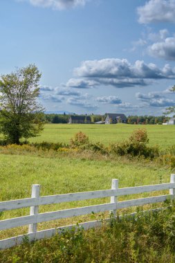 Güneşli sonbahar kırsal kesimlerinde arka planda rahat evler.