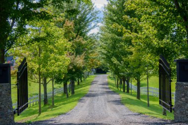 Yeşil ağaçlı, kır manzaralı rahat bir sokak.