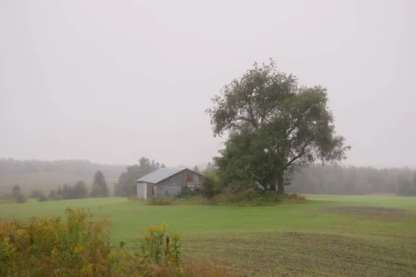 Régi Farm Zöld Mező Közepén — Stock Fotó