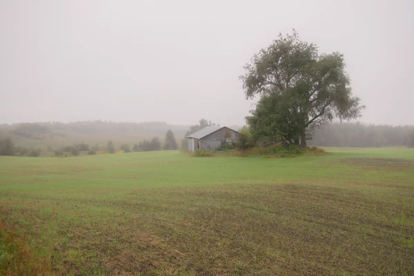 Old Farm Middle Green Field — Stock Photo, Image