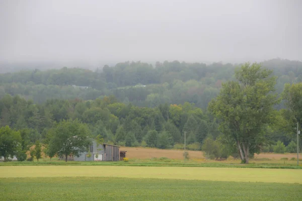 Cozy Fall Nature Morning Misty Landscape — Stock Photo, Image