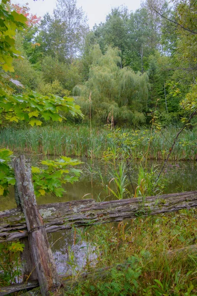 Gezellig Platteland Vijver Omzoomd Met Oude Houten Hek Vallen Natuur — Stockfoto