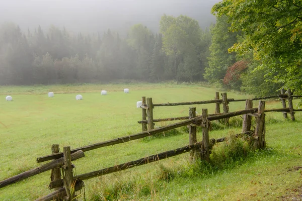 Foggy Kenttä Kerätty Heinää Paalit Synkkä Syksyllä Sää — kuvapankkivalokuva