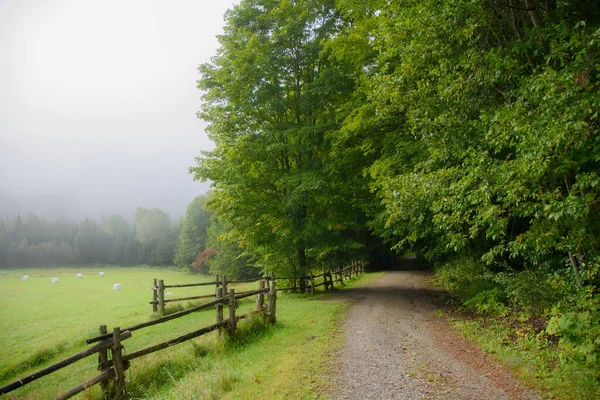 Foggy Landskap Gränd Nära Skogen Magnifik Höst Natur — Stockfoto