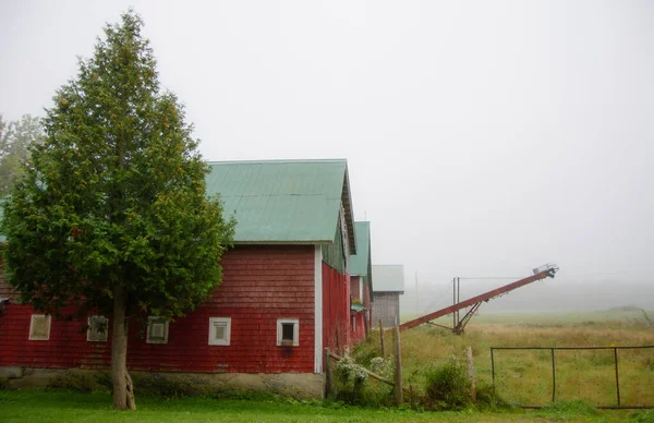 Útulná Krajina Scéna Během Deštivého Podzimního Dne — Stock fotografie