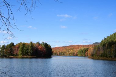 Renkli yaprakları ve berrak gölü olan sonbahar dağları, güzel doğa..