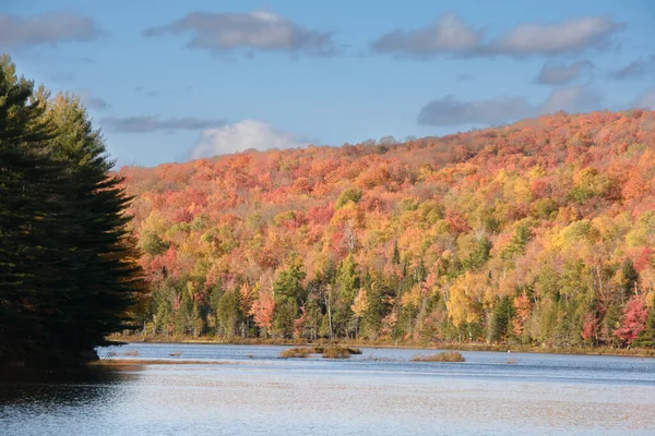 紅葉と澄んだ湖 美しい自然を持つ秋の山 — ストック写真