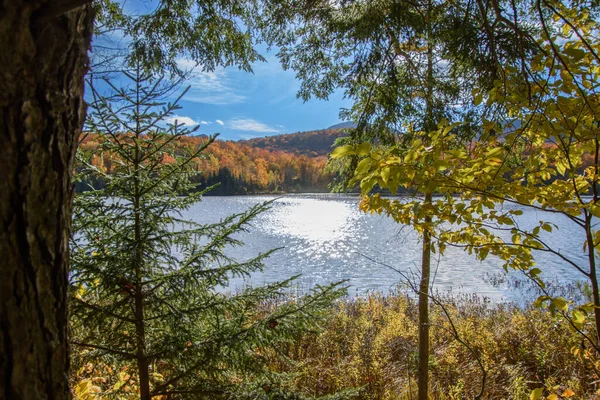 Montañas Otoñales Con Follaje Colorido Lago Claro Hermosa Naturaleza —  Fotos de Stock