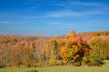 Sonbaharda renkli ağaçlarla kaplı tepeler