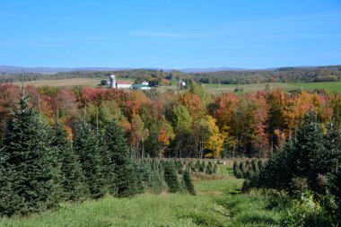 Renkli yemyeşil yapraklı tarlaların ve ormanların sonbahar manzarası