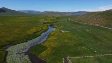 Nehrin tepesinden insansız hava aracı, nehrin tepesinden yeşil alan drone görüntüsü.