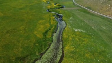Nehrin tepesinden insansız hava aracı, nehrin tepesinden yeşil alan drone görüntüsü.