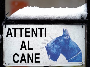 Karlı köpeğe dikkat et.