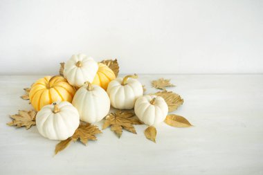 Tatlı balkabakları ve altın sonbahar yaprakları beyaz ahşap arka planda fotokopi alanı ile. Şükran Günü dekorasyonu..