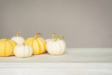 Beyaz bir masada beyaz ve sarı mini balkabakları. Kopya alanı olan sonbahar modeli.