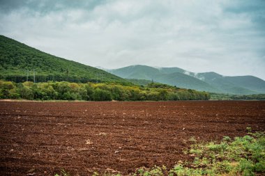 Sebze ekmek için biçilmiş bir tarla. Dağların arka planına karşı bir kara toprak alanı.
