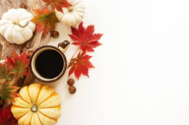 Kahve fincanı, sonbahar yeşilliği, beyaz arka planda örülmüş eşarp ve balkabağı. Kopyalama alanı olan sonbahar düzlüğü.