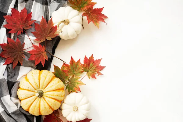 Herfst Gebladerte Geruite Sjaal Mini Pompoenen Een Witte Achtergrond Herfst — Stockfoto