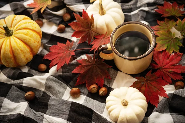 Een Mok Koffie Mini Pompoenen Hazelnoten Rode Esdoorn Bladeren Een — Stockfoto