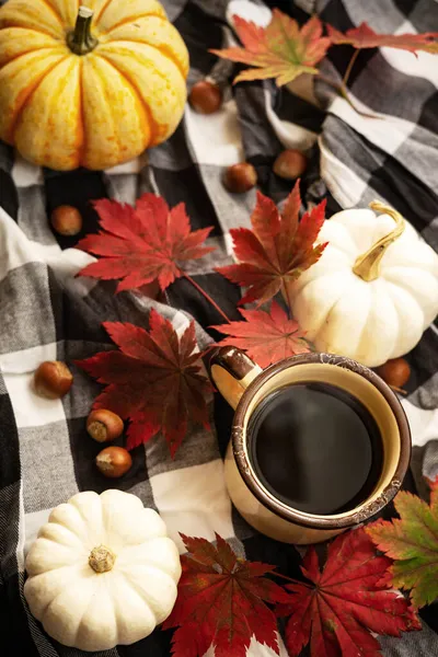 コーヒー ミニカボチャ ヘーゼルナッツと赤いメープルのマグカップは 再生毛布の上に残します 秋の絵葉書 — ストック写真