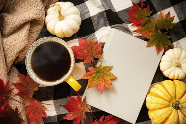 コーヒー ミニカボチャ 本と赤いメープルのマグカップは 再生毛布の上に残します 秋平敷 — ストック写真