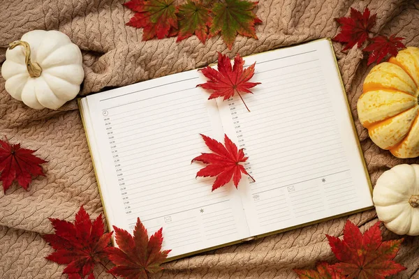 Notizbuch Kaffeebecher Herbstlaub Und Kürbisse Auf Gestricktem Karo Herbstflach Lag — Stockfoto