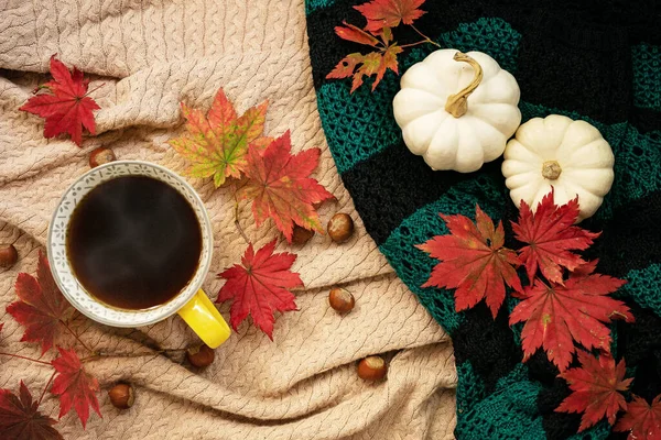 Twee Mini Pompoenen Hazelnoten Herfst Esdoorn Bladeren Een Kopje Koffie — Stockfoto