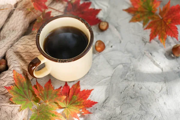 Ein Becher Kaffee Haselnüsse Und Rote Ahornblätter Und Ein Gestrickter — Stockfoto