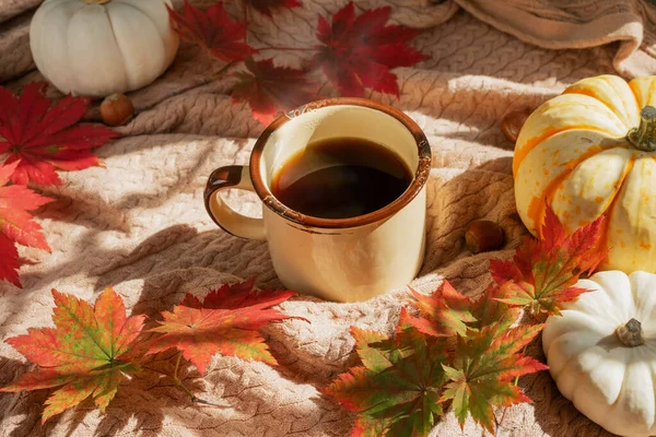 ニットブランケットにコーヒー ヘーゼルナッツ 赤いメープルの葉とミニカボチャのマグカップ コピースペース付き秋の背景 — ストック写真